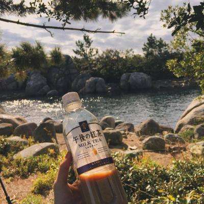 365平台官方版下载app下载